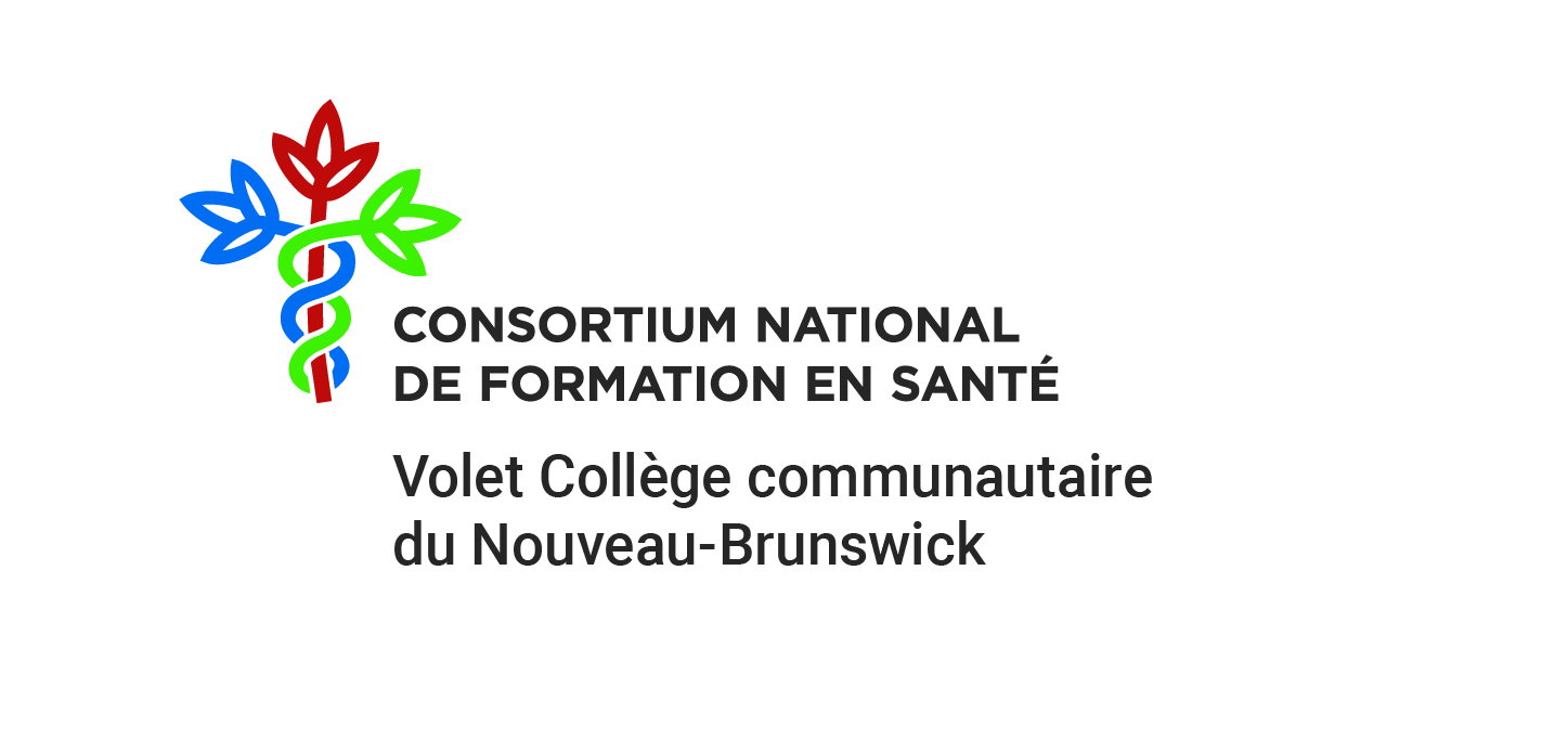 ccnb-cnfs logo